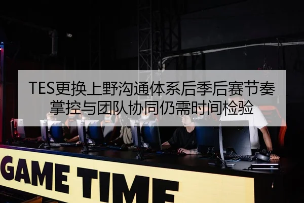 TES更换上野沟通体系后季后赛节奏掌控与团队协同仍需时间检验 | NG28