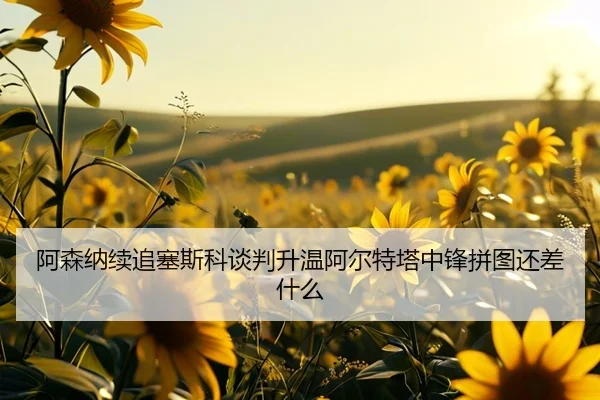 a-sen-na-xu-zhui-sai-si-ke-tan-pan-sheng-wen-a-er-te-ta-zhong-feng-pin-tu-hai-cha-shen-me-2-949.jpg