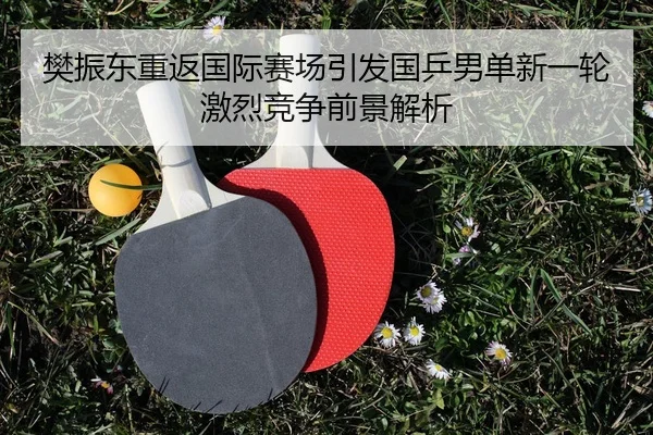 樊振东重返国际赛场引发国乒男单新一轮激烈竞争前景解析 - NG28